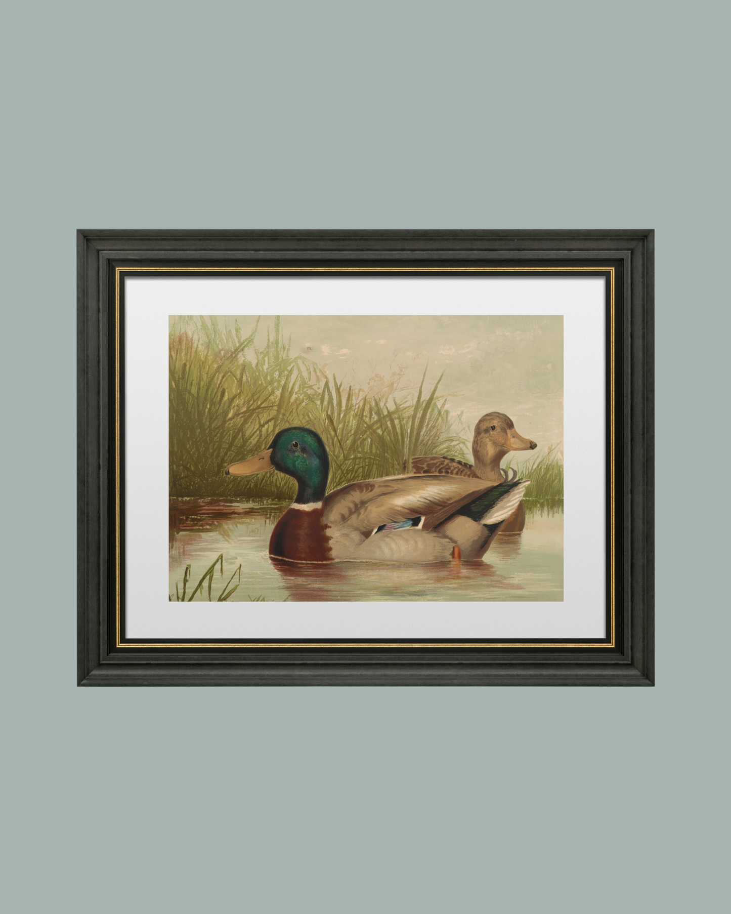 Ducks on the Pond Antique Art Print