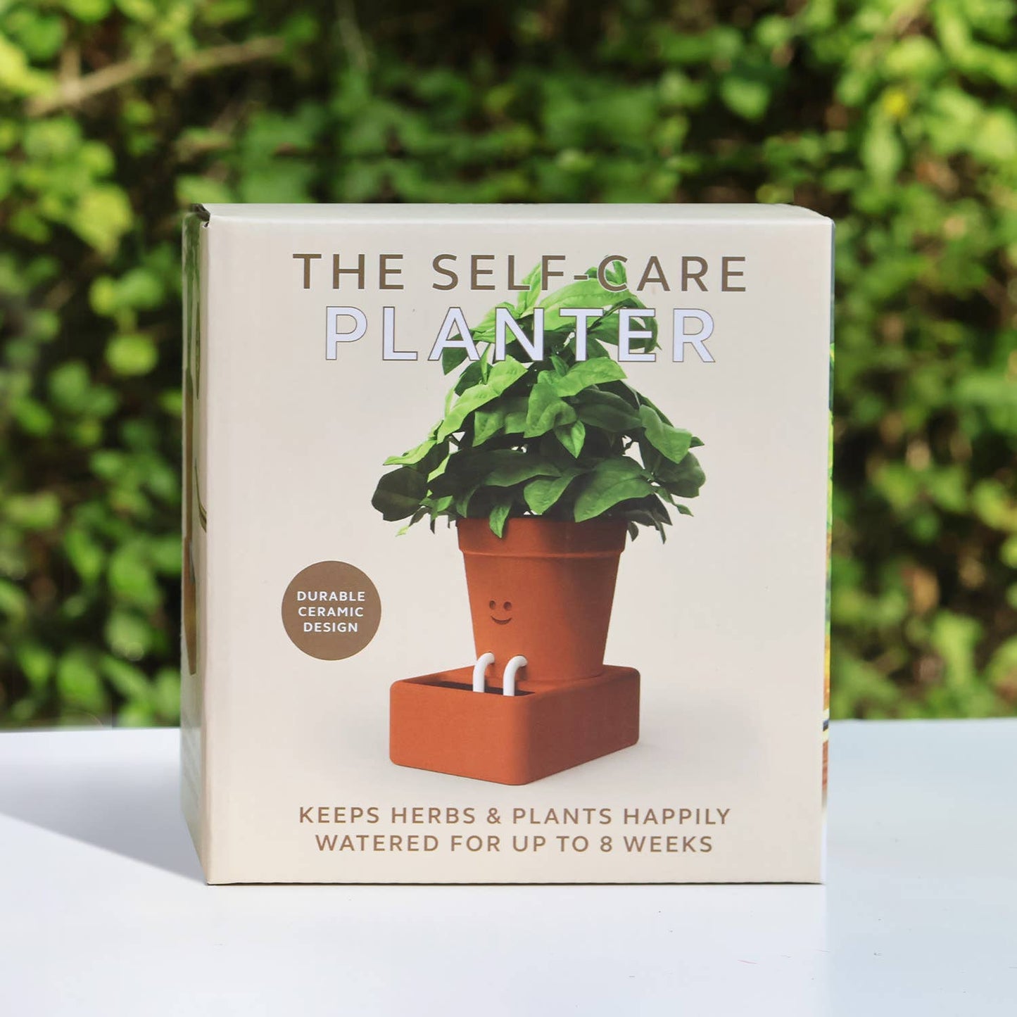 Self Watering Planter