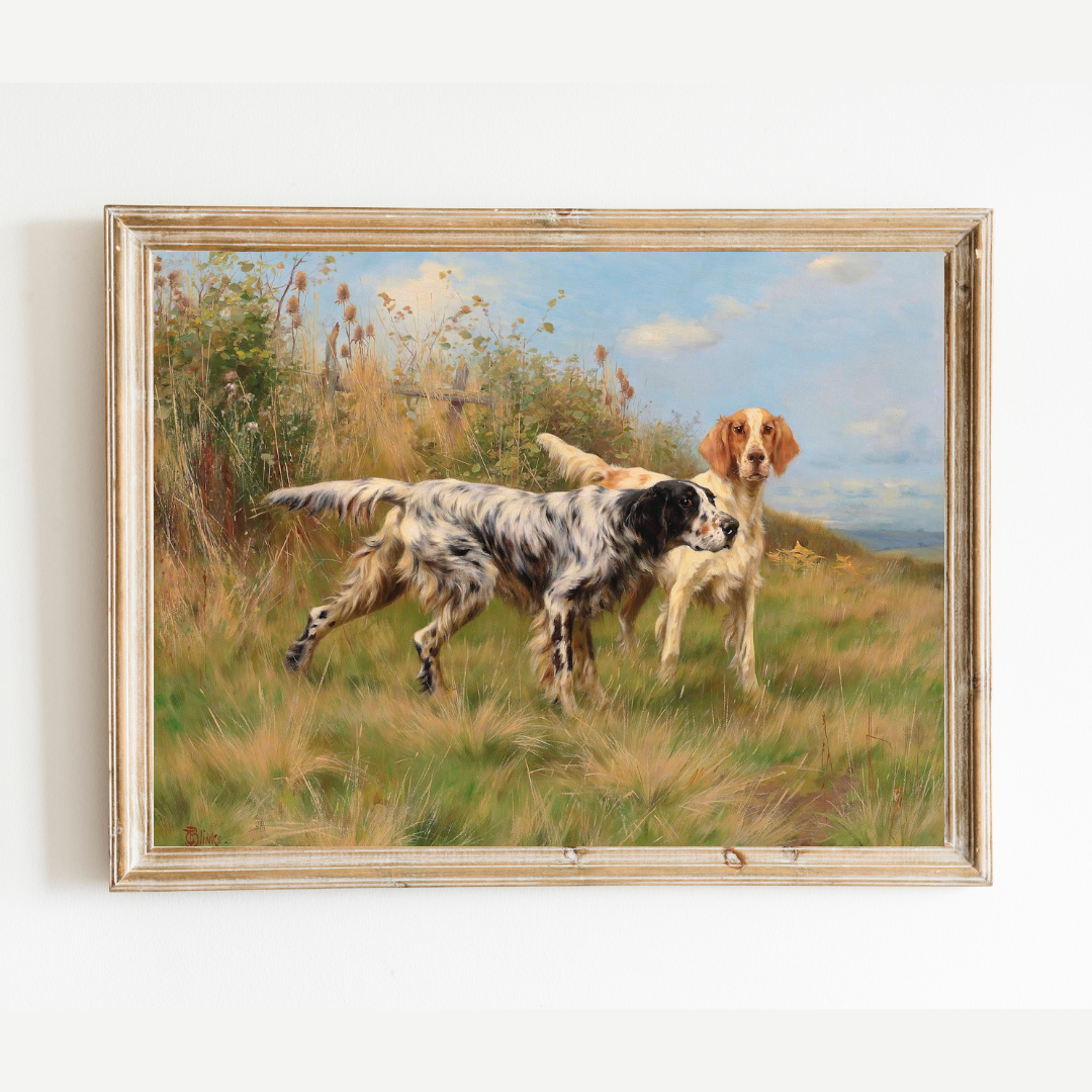 English Setters Antique Print