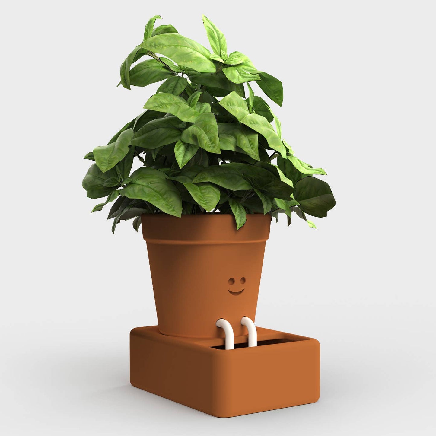 Self Watering Planter