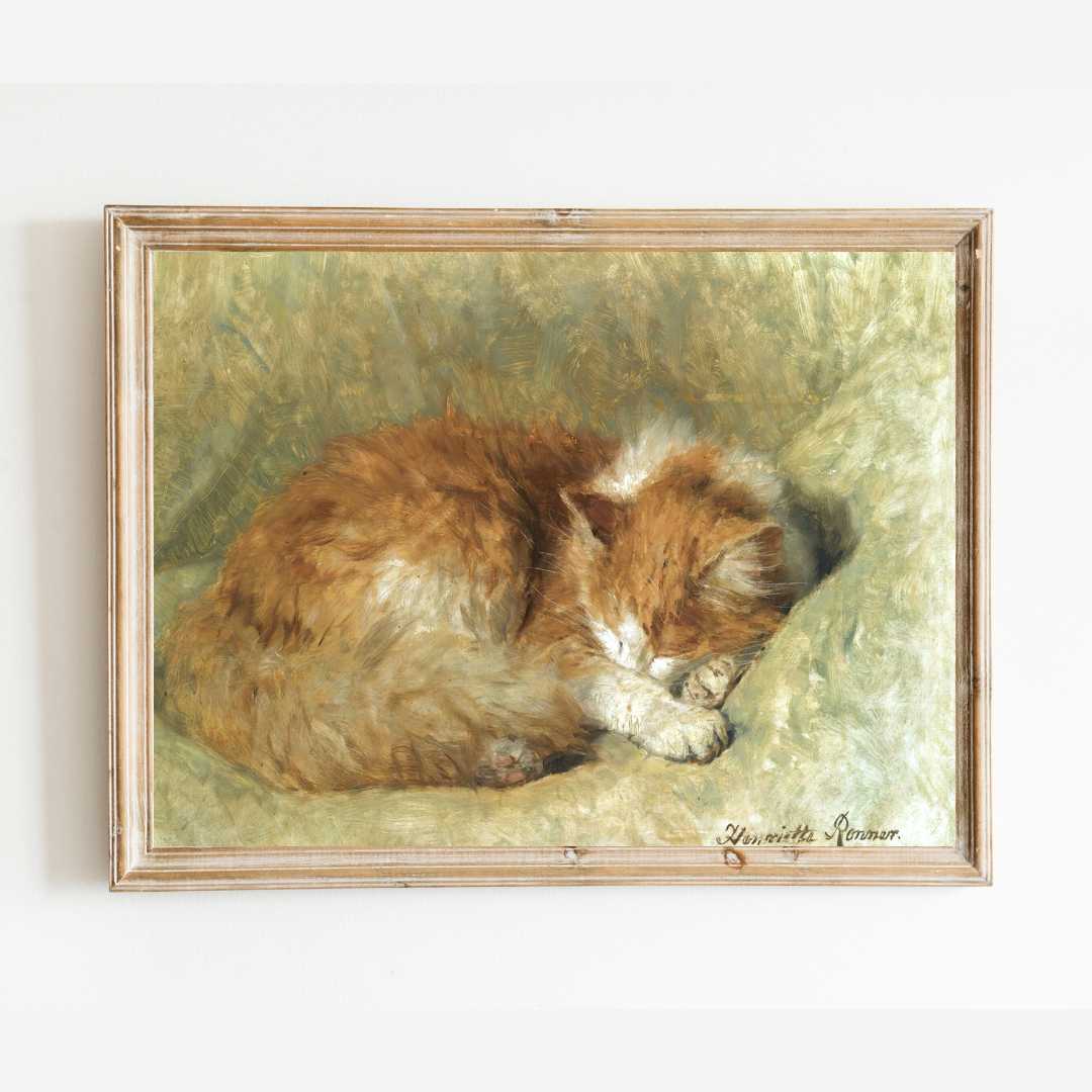 Sleeping Cat Antique Art Print