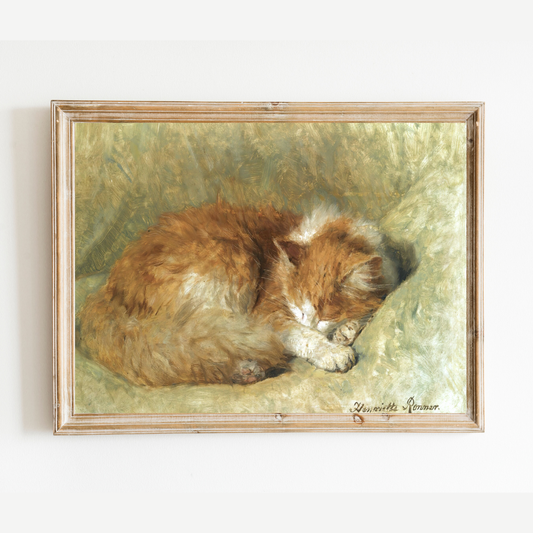 Sleeping Cat Antique Art Print