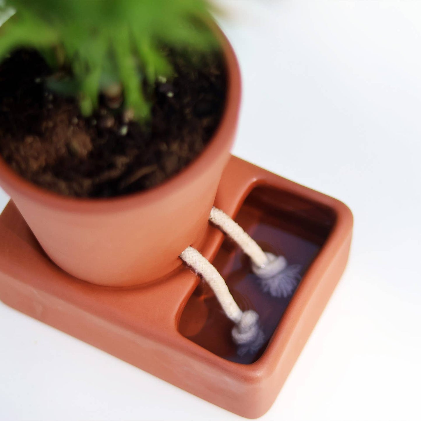 Self Watering Planter
