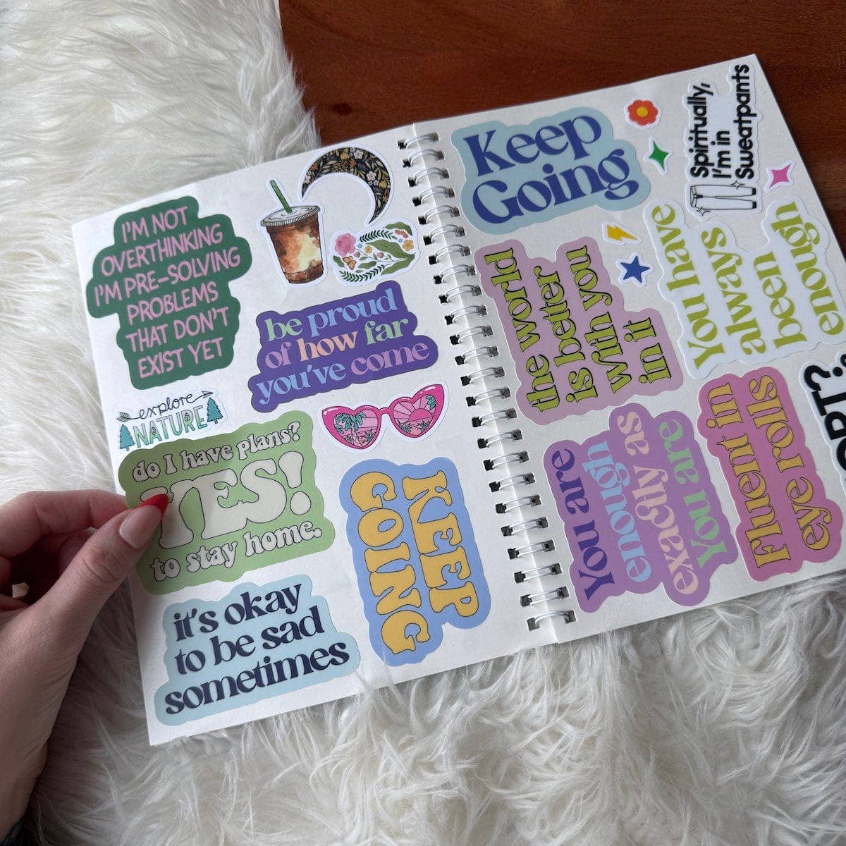 The Unused Sticker Book