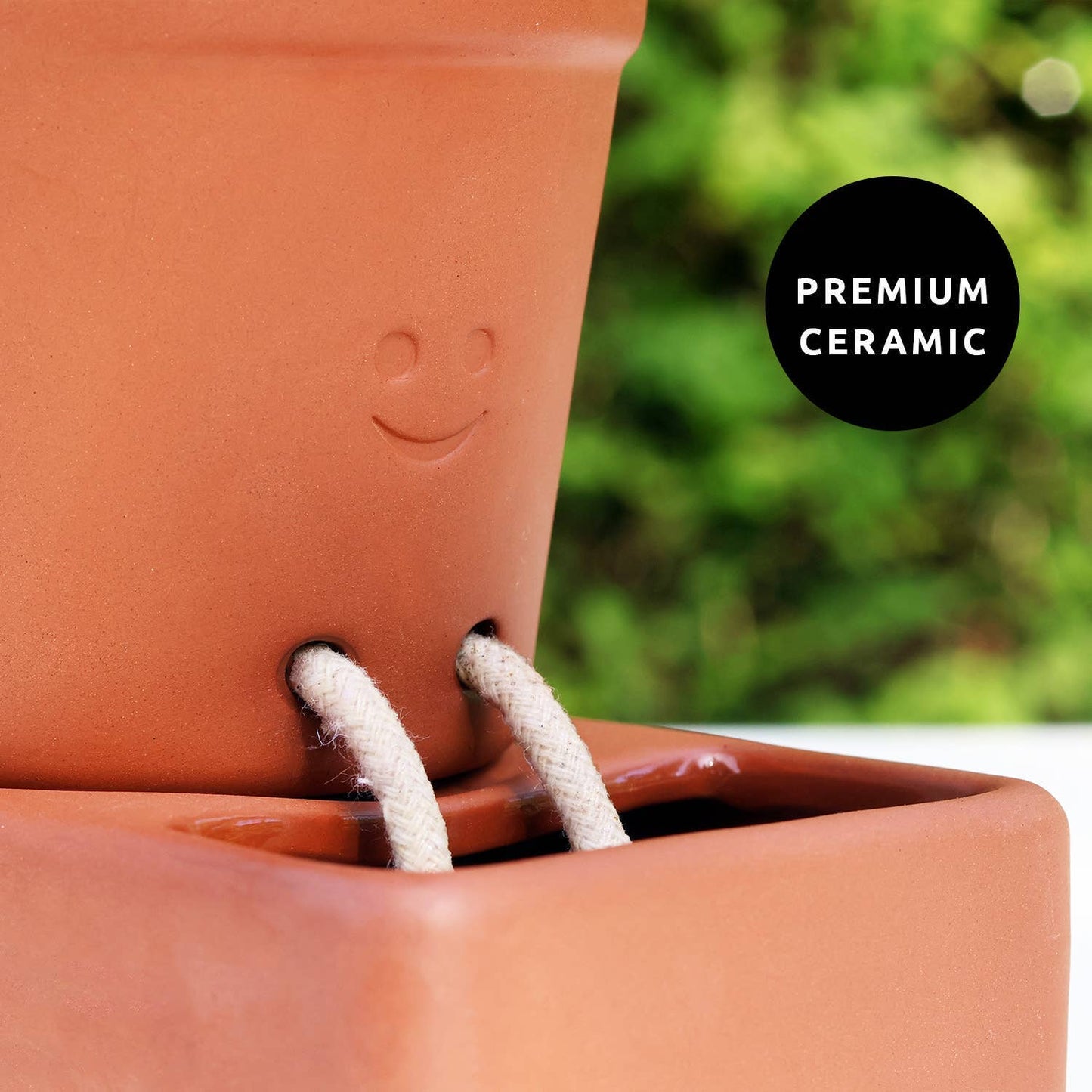 Self Watering Planter