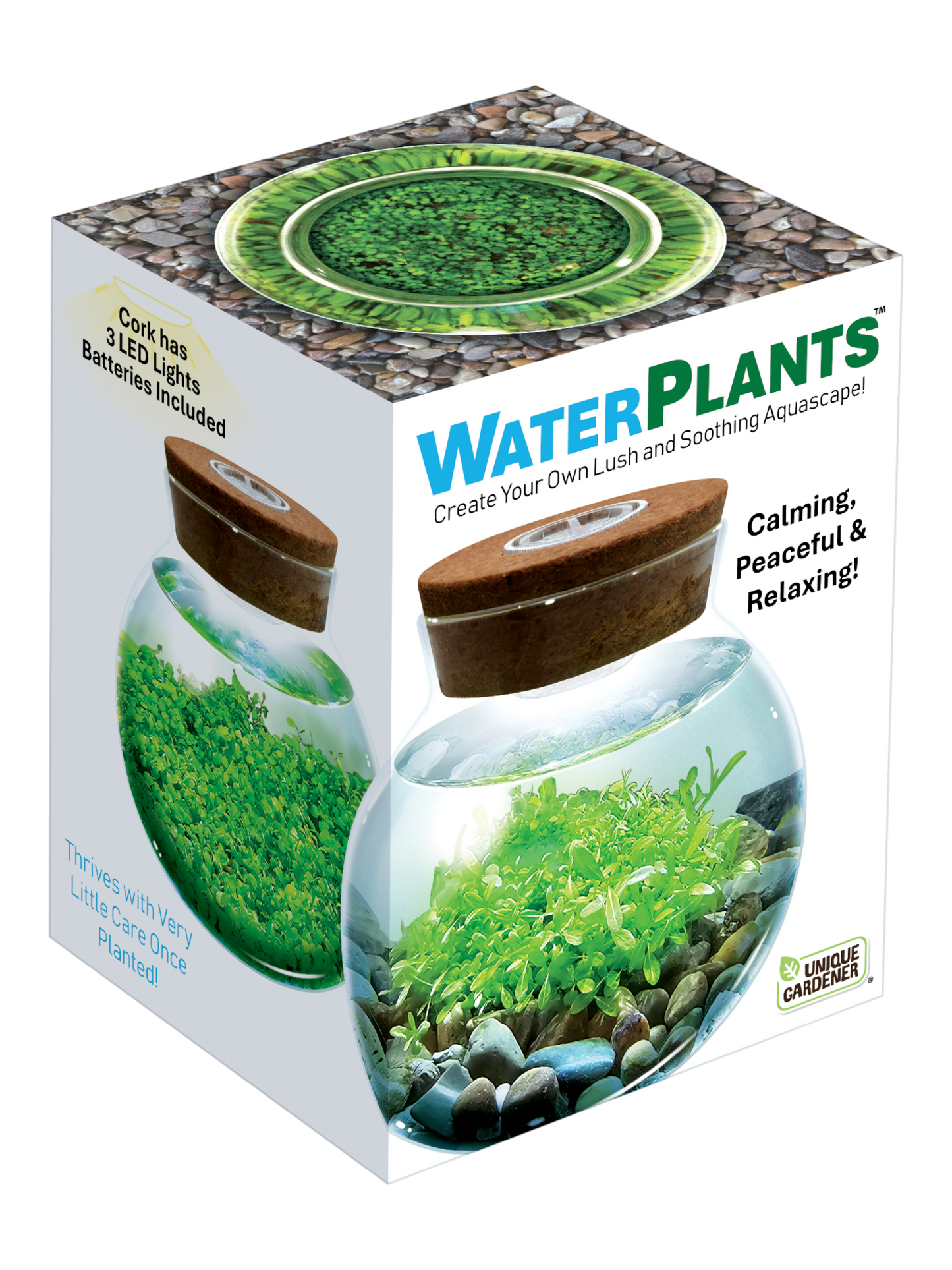 WaterPlants Aquatic Seed Kit Glass Terrarium with LED Light