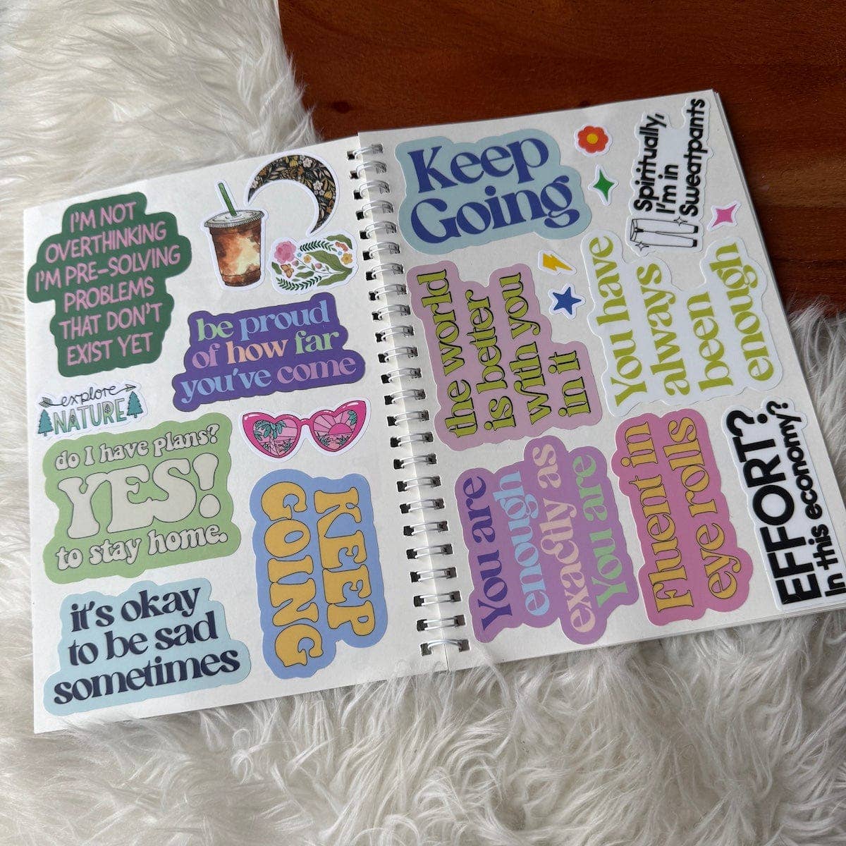 The Unused Sticker Book