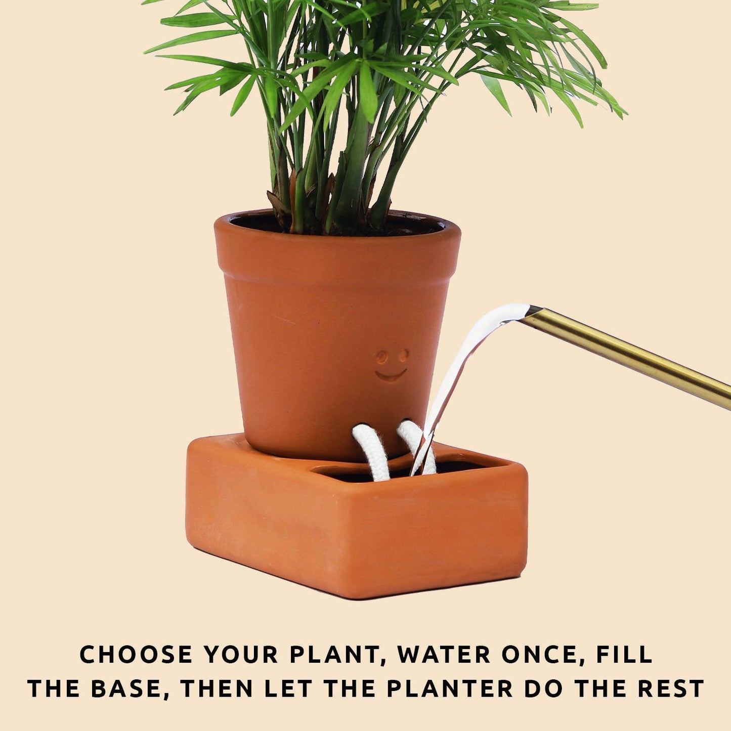 Self Watering Planter