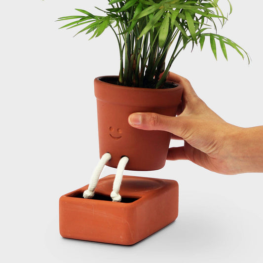 Self Watering Planter