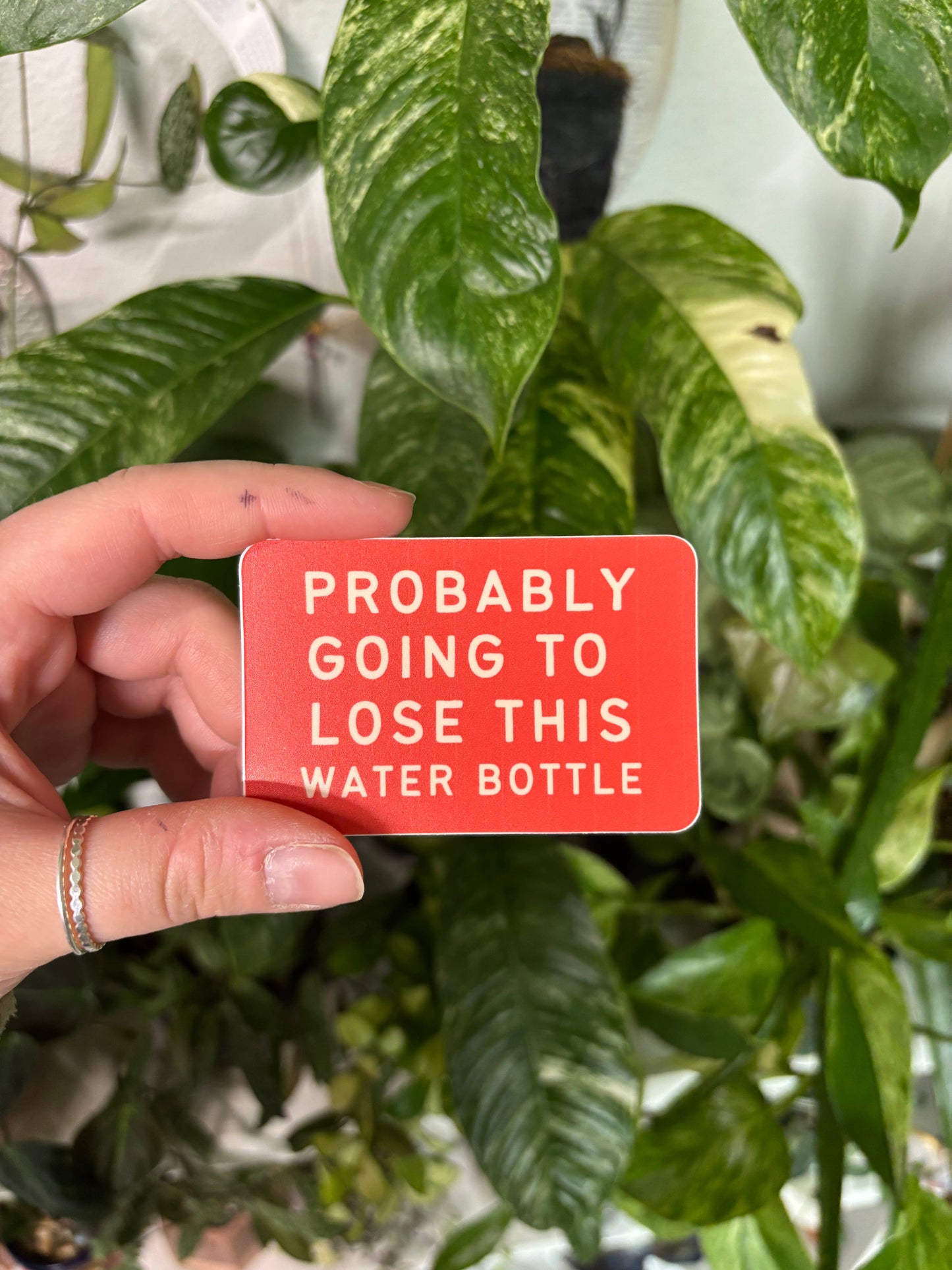 Probably Going To Lose This Vinyl Sticker