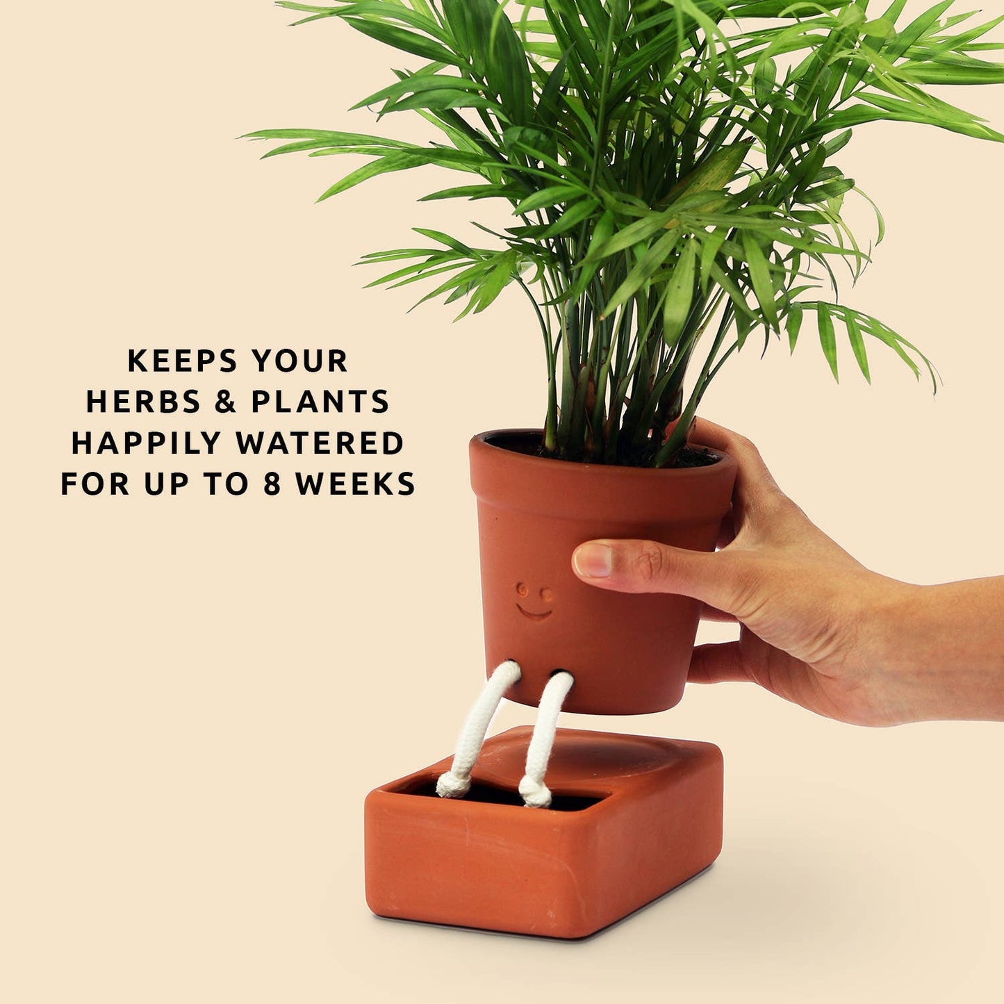 Self Watering Planter