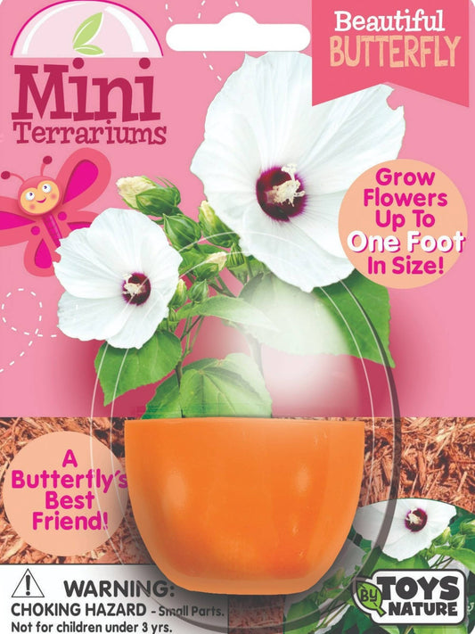 Beautiful Butterfly Mini Terrarium