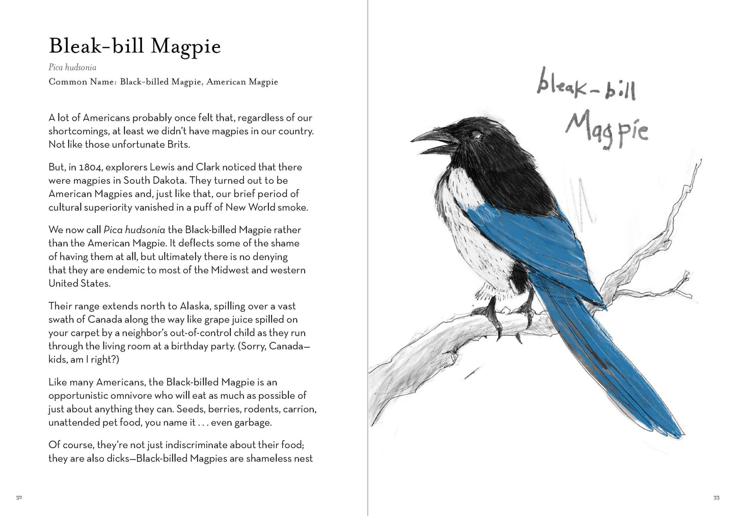 Dumb Birds Field Guide to the Worst Birds Ever