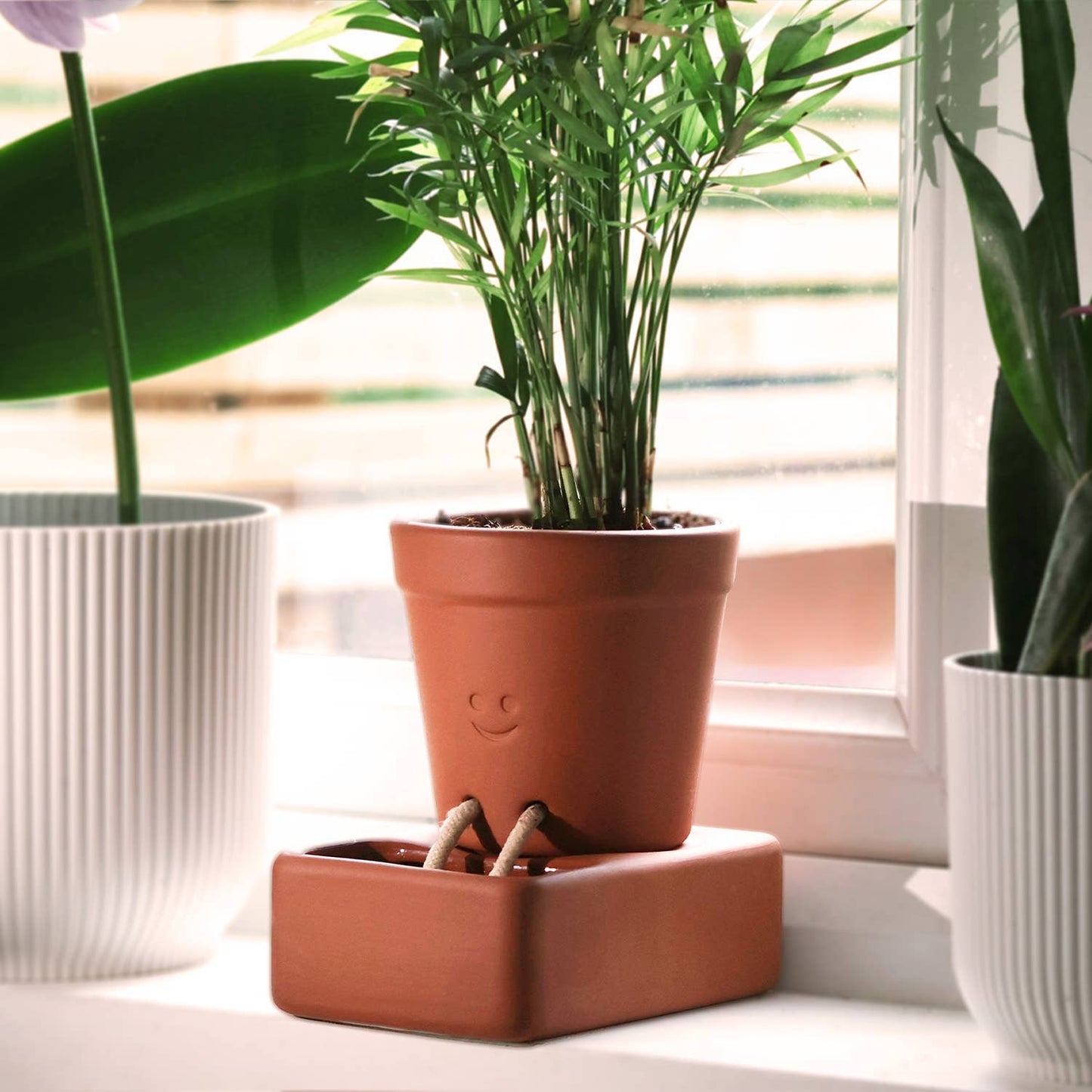 Self Watering Planter