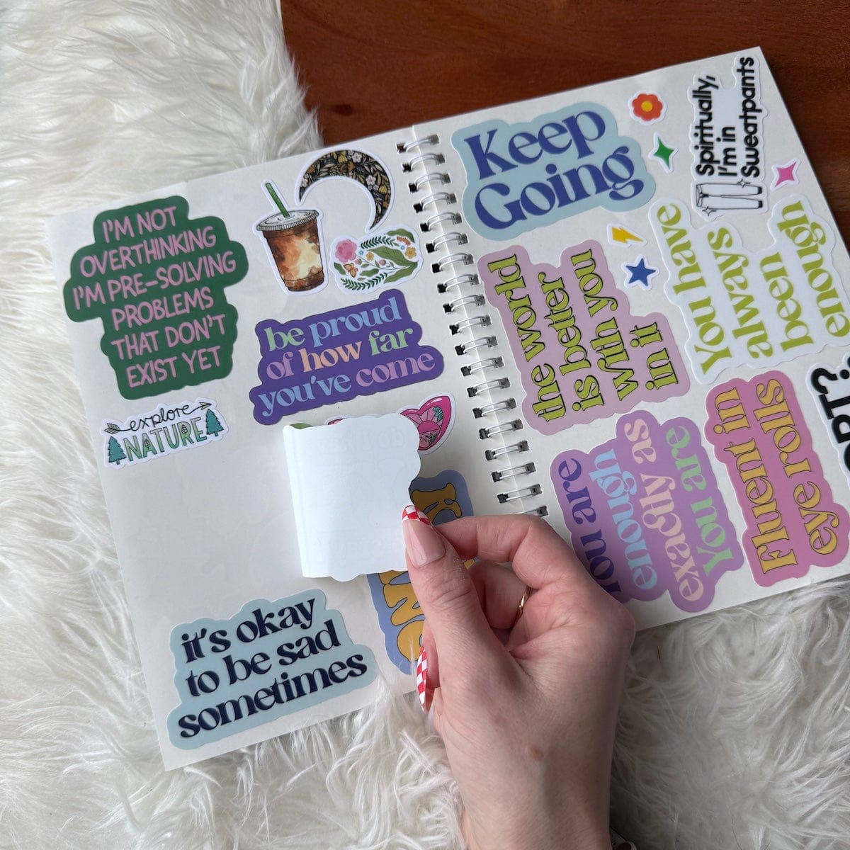 The Unused Sticker Book