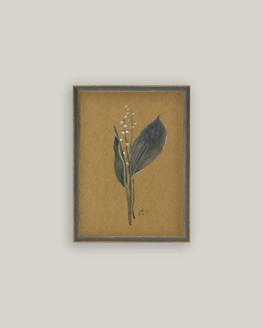 Lily On Brown Framed Antique Art